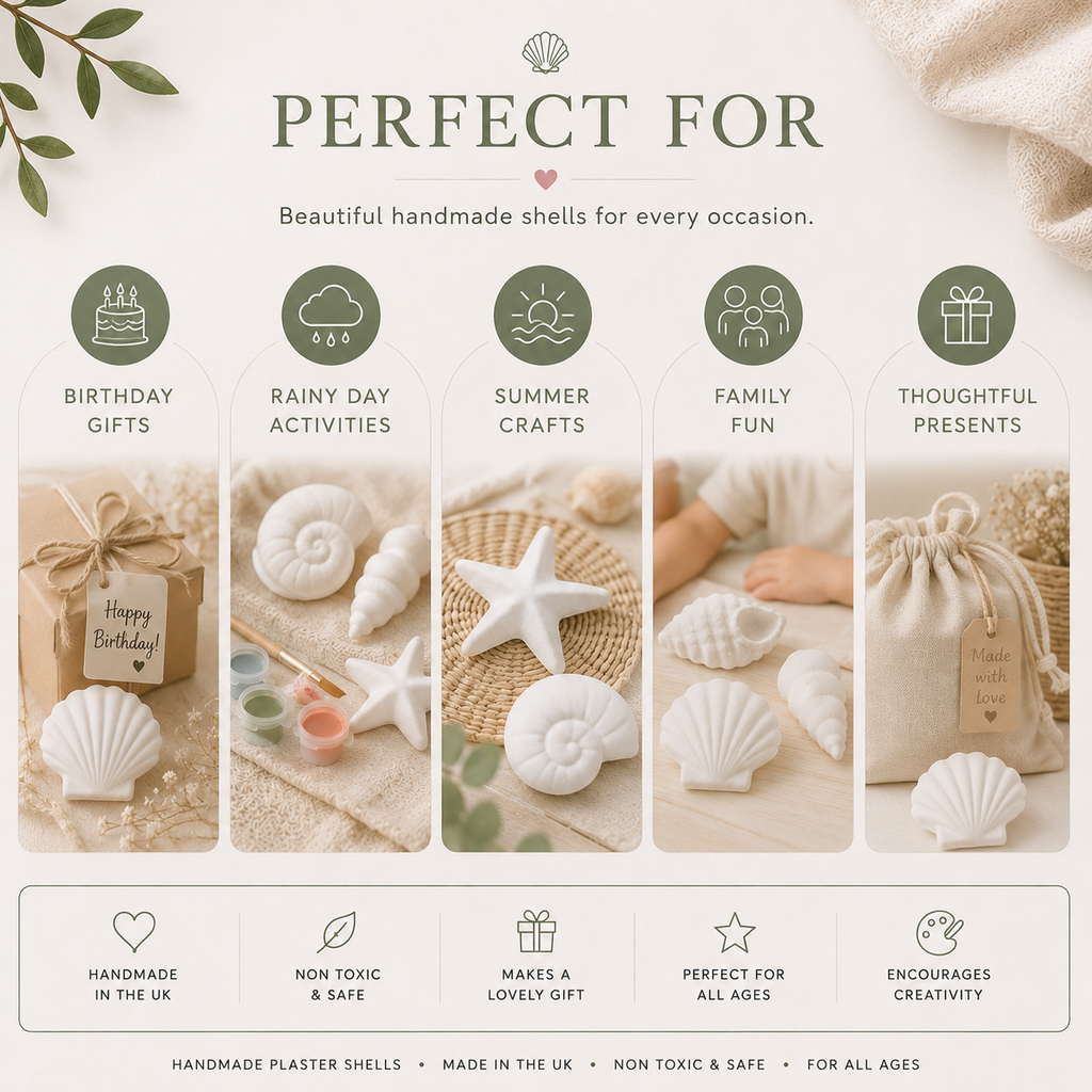 Paint Your Own Shell Kit | Handmade Plaster Coastal Craft Set