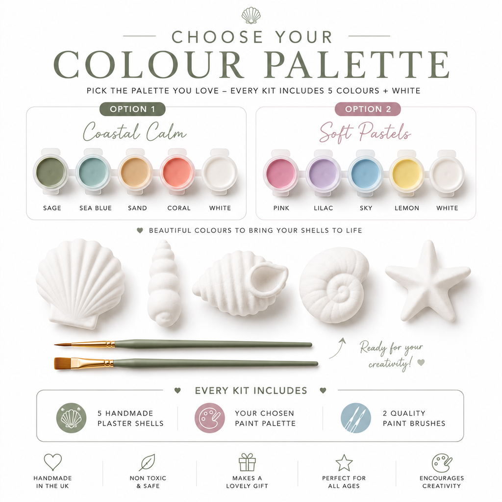 Paint Your Own Shell Kit | Handmade Plaster Coastal Craft Set